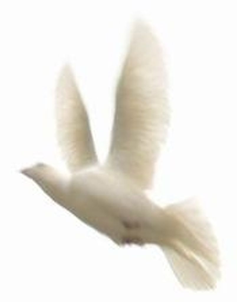 Mary Pearl Armstrong Profile Photo