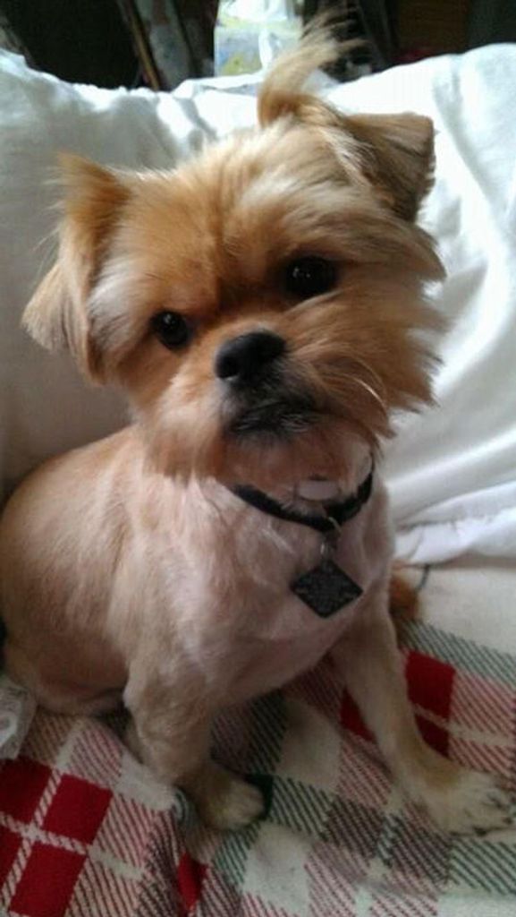 Rambo Lee Profile Photo