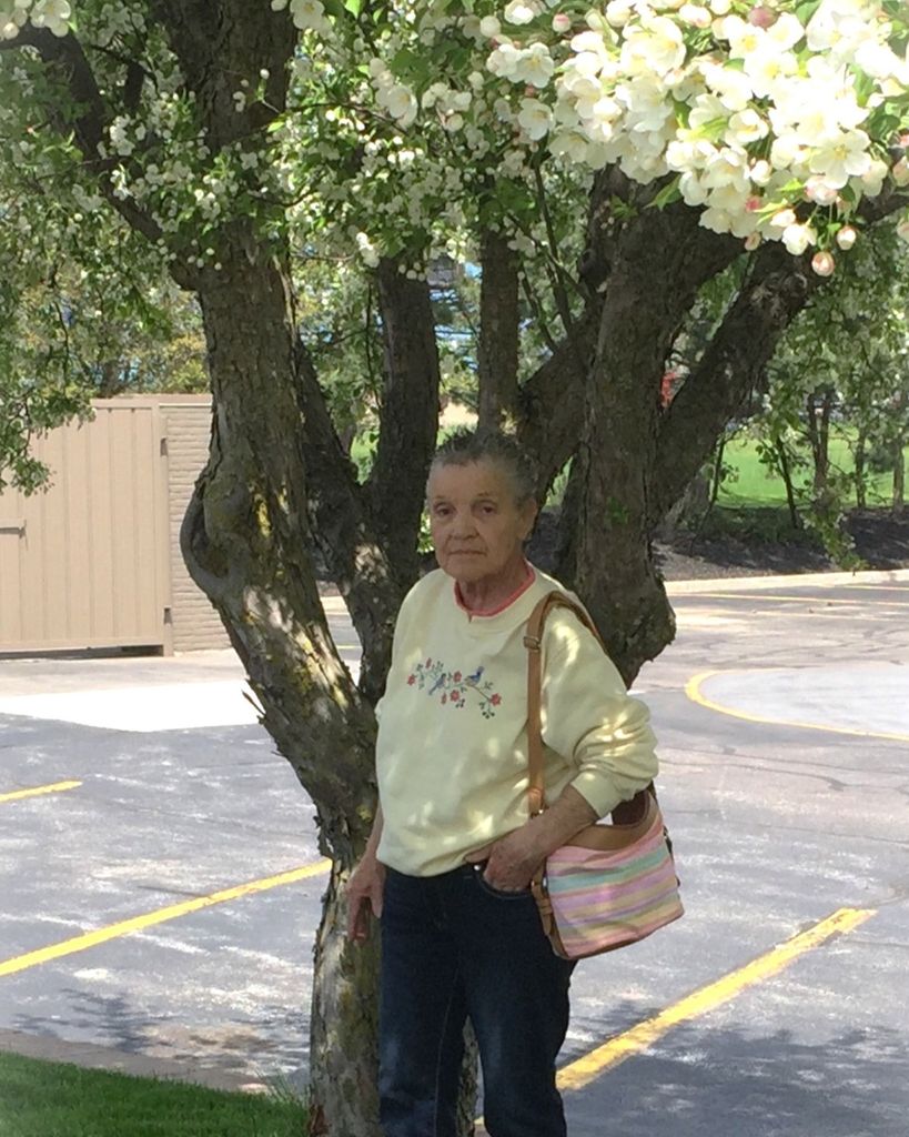 Judy Ann Pope Profile Photo