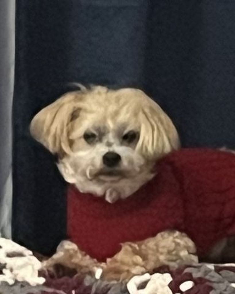 Isabella "Bella" McGrath