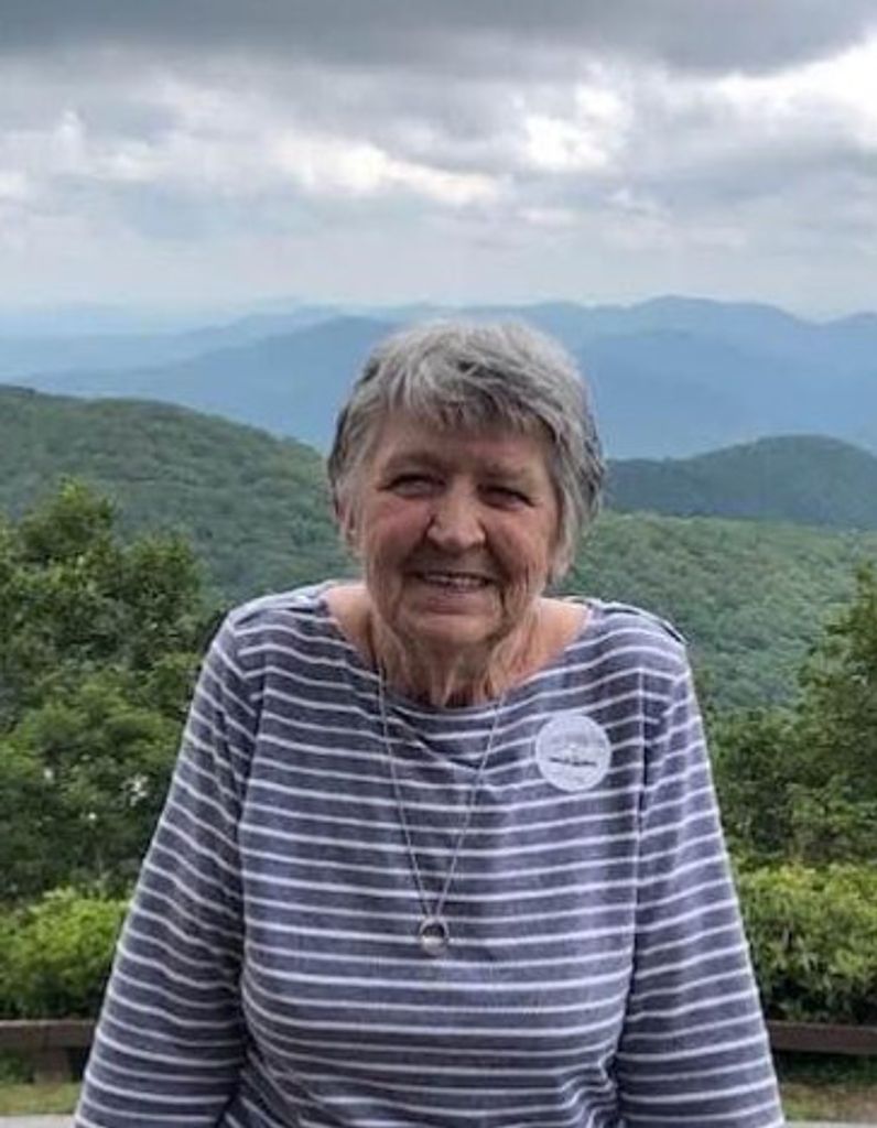 Shirley Ann (Fuller)  DiBiase