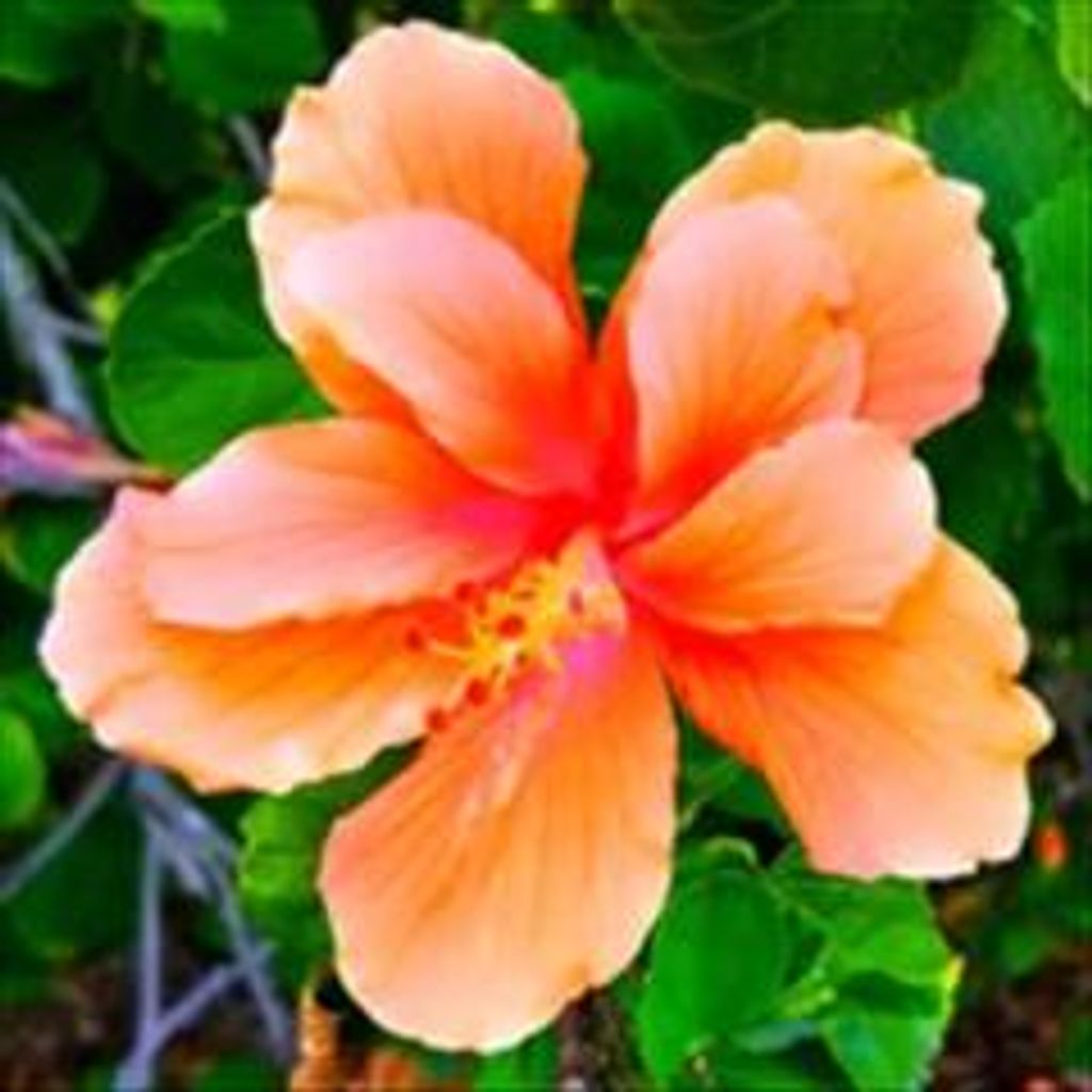 Linda Kay (Pyle) Fagan