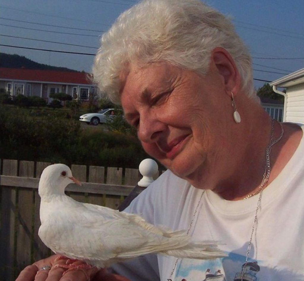 Roberta M. (Kelley)  Sullivan Profile Photo