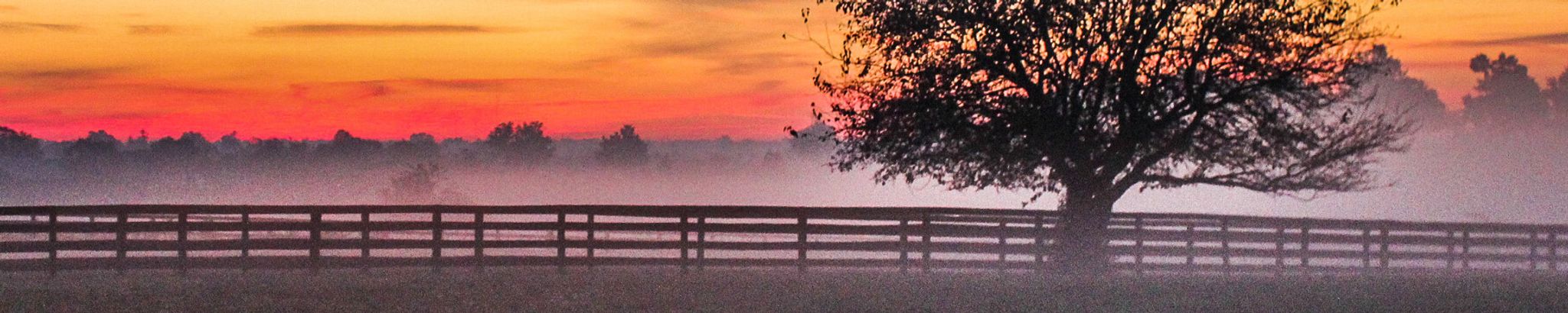 Cover photo for Doris Woody Rabun's Obituary