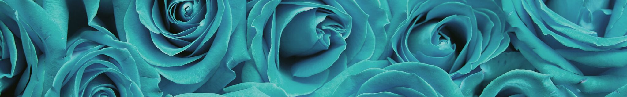 Cover for Desiree Browne-Johnson's Obituary