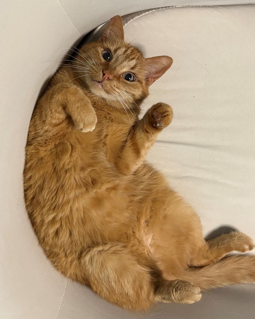 Nacho "Chonie" Parker Profile Photo