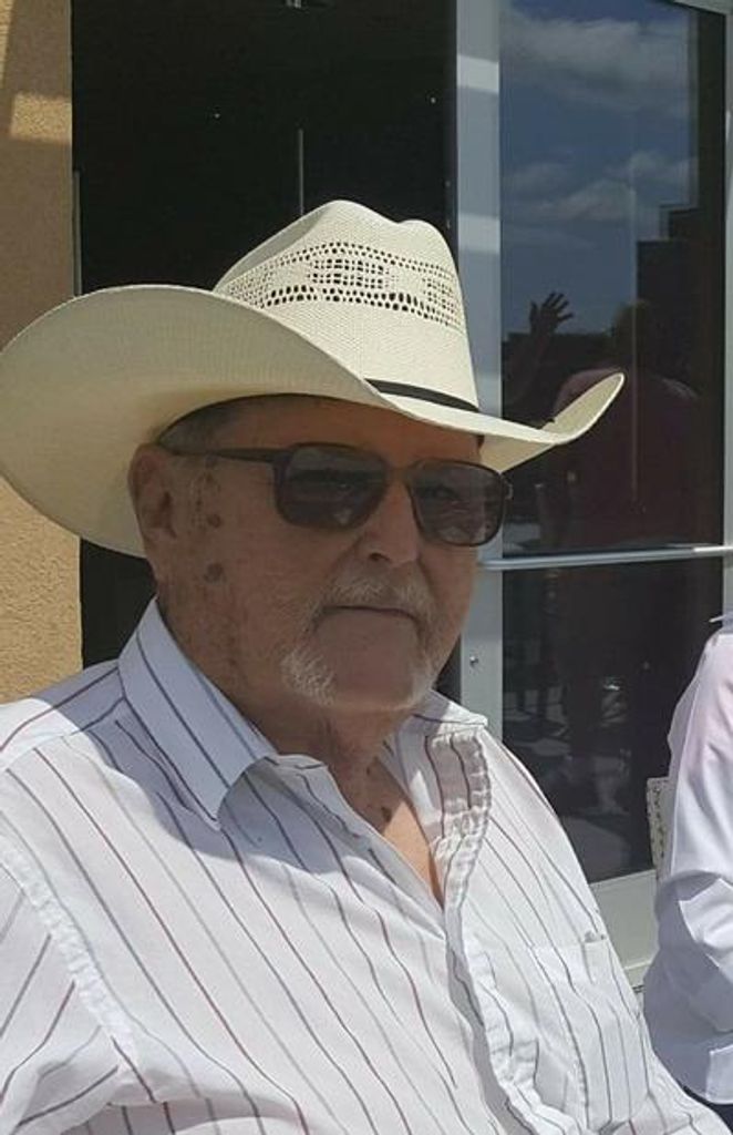 Gary Steele Mcwilliams