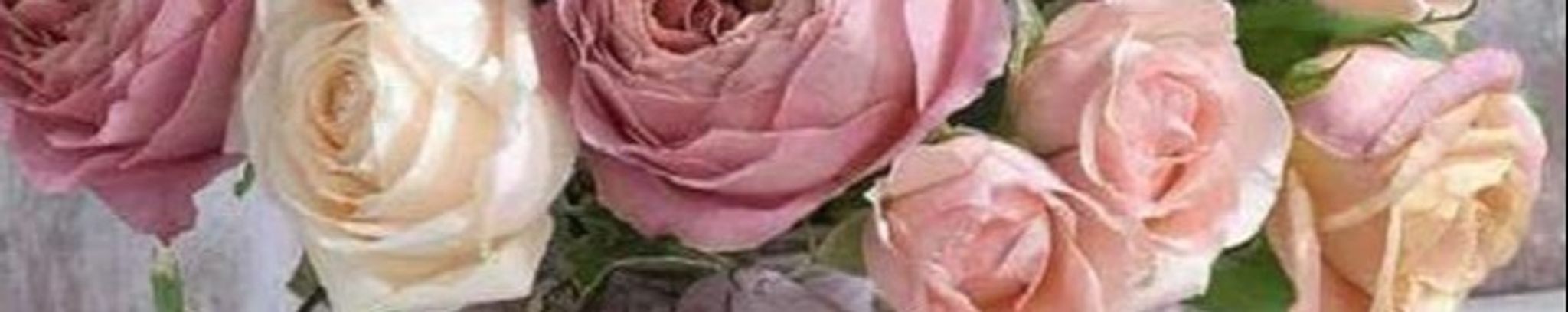 Cover photo for Maria Selina "Sally" Romero's Obituary