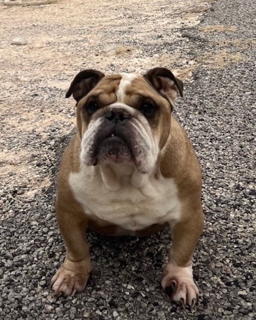 Yadi Mo Edmonds Profile Photo