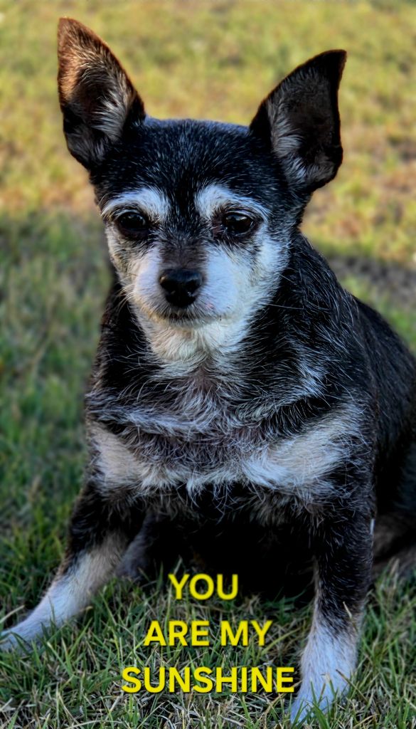 Sally Bear Profile Photo