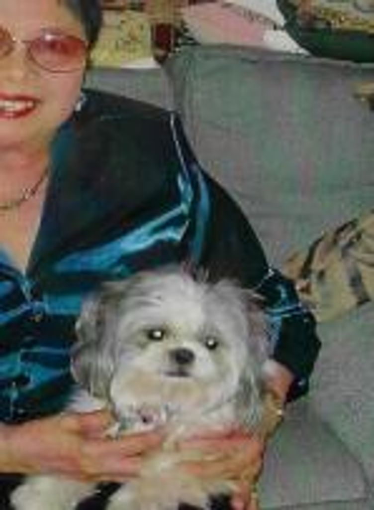 Violet Mew Profile Photo