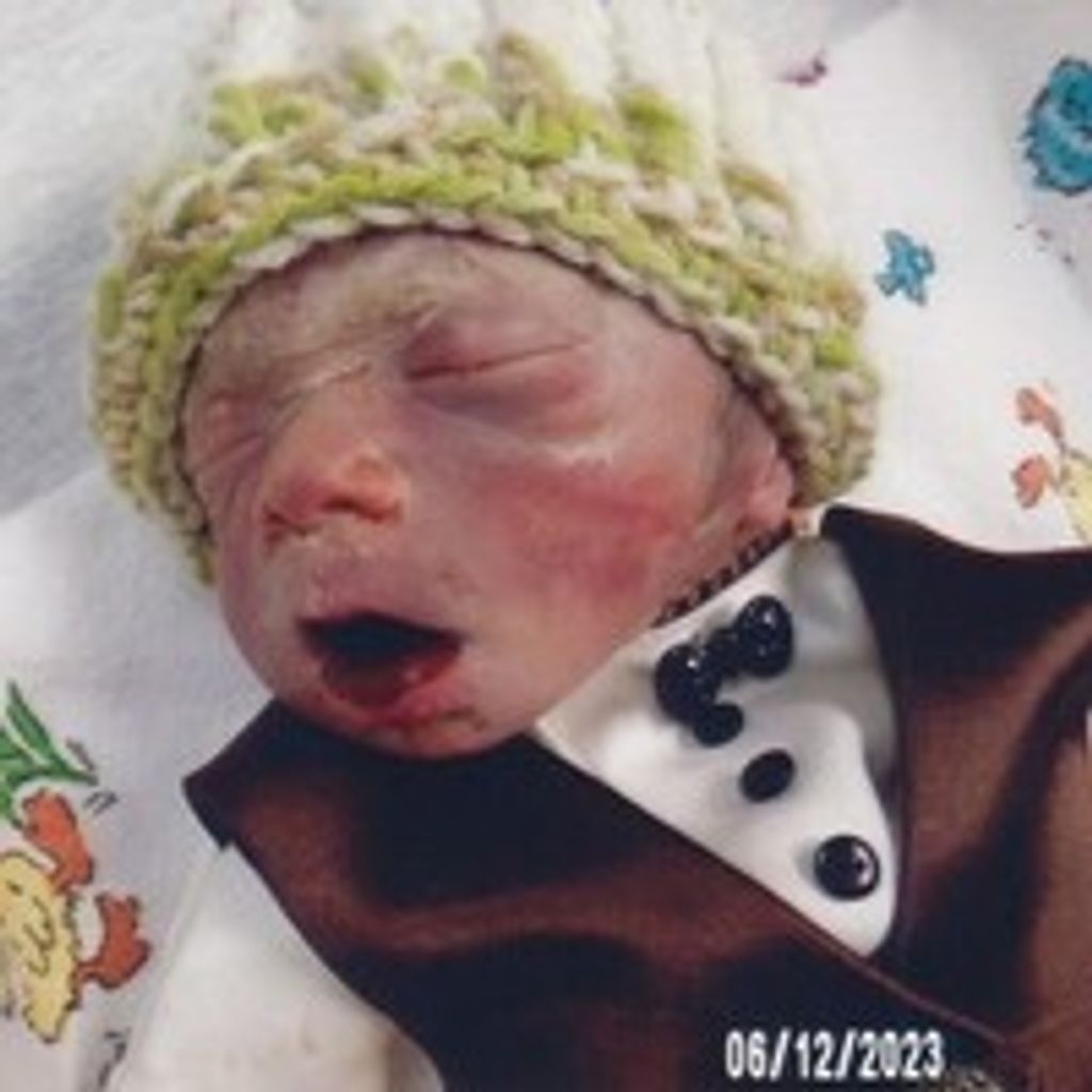 Alonzo James Green Jr.