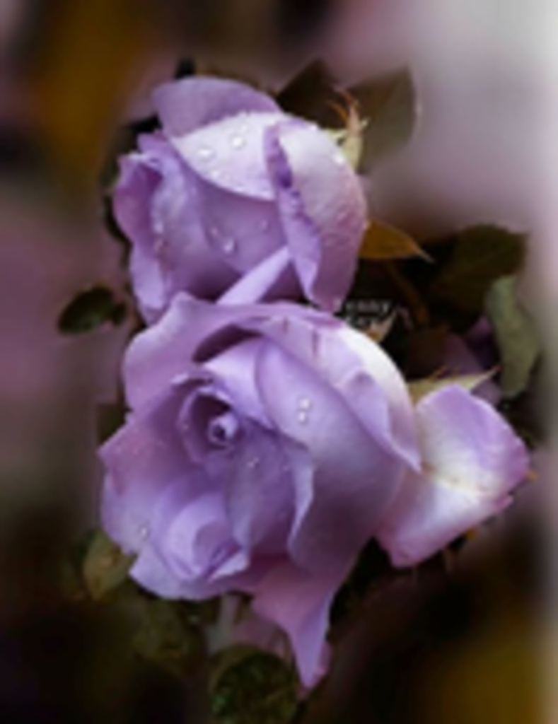 Vickie Denise Jackson