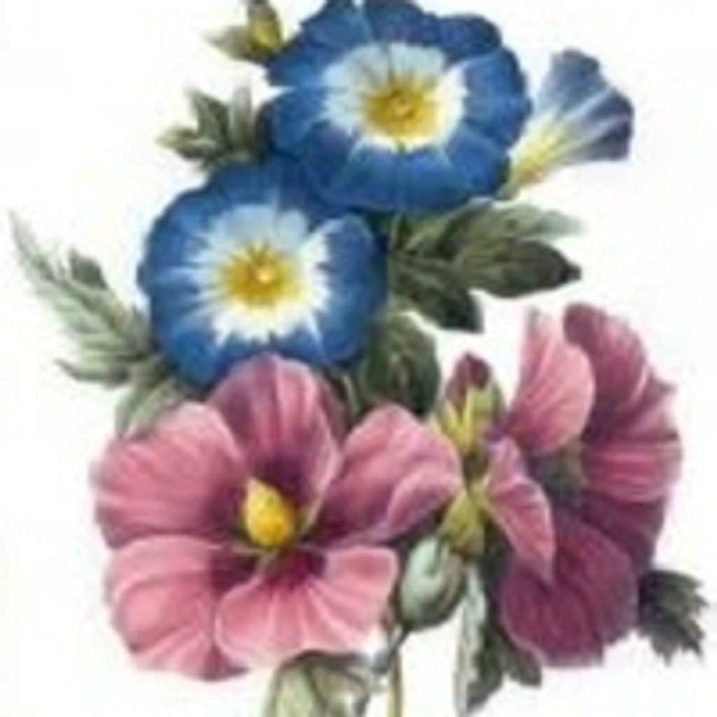 Marilynn Dingman