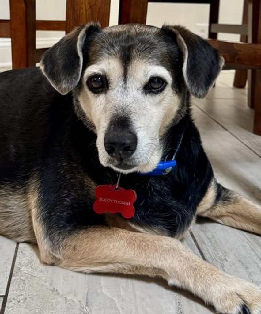 Buddy Thomas Profile Photo
