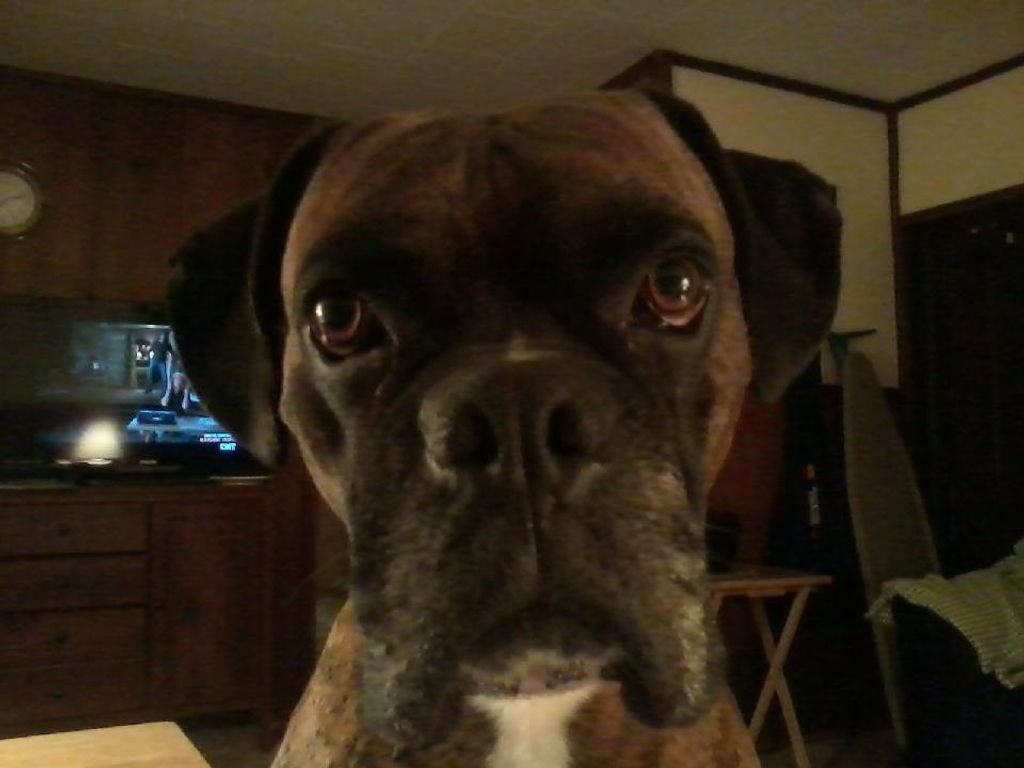 Sarge Fisher Profile Photo