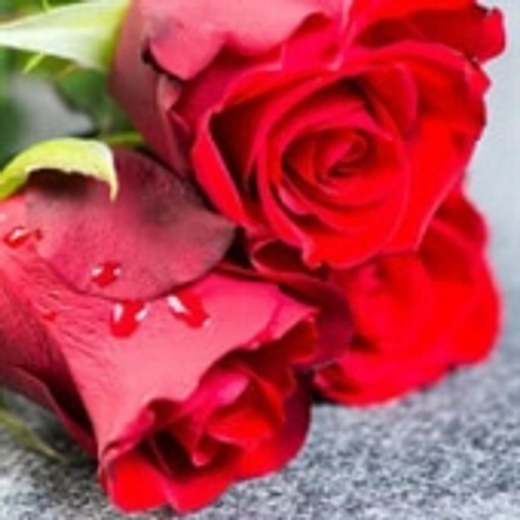 Pamela Denise Hardee