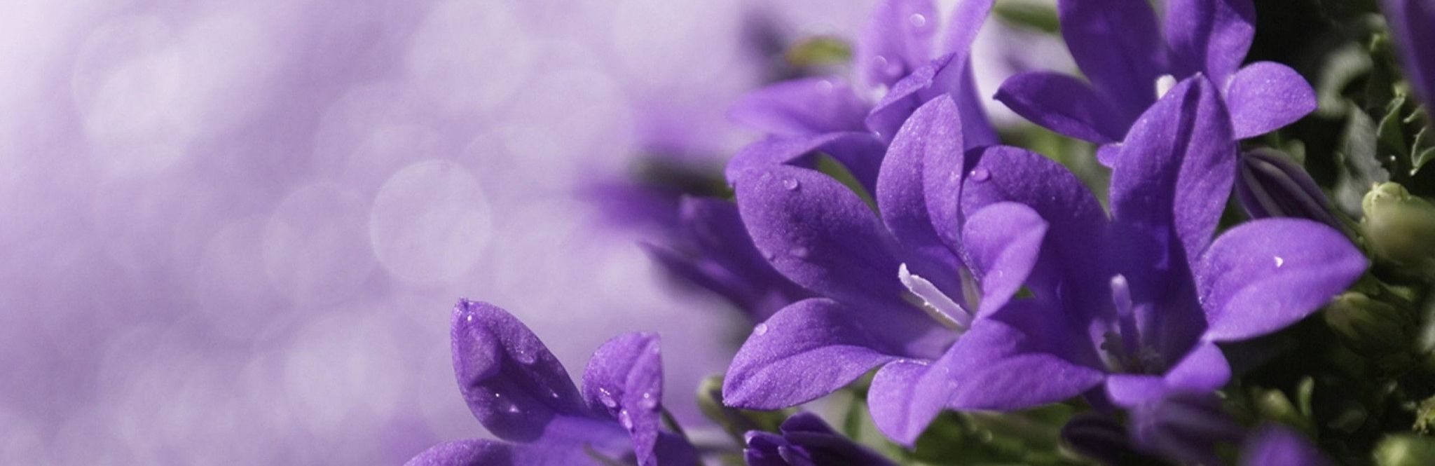 Cover photo for Maryellen Kuczuk's Obituary