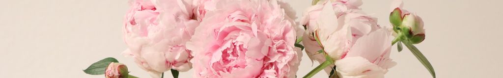 Cover photo for Gertrude Pearl Pringle's Obituary