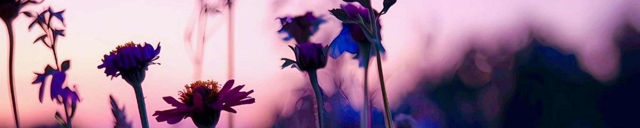 Cover for Elias Luke Sleep's Obituary