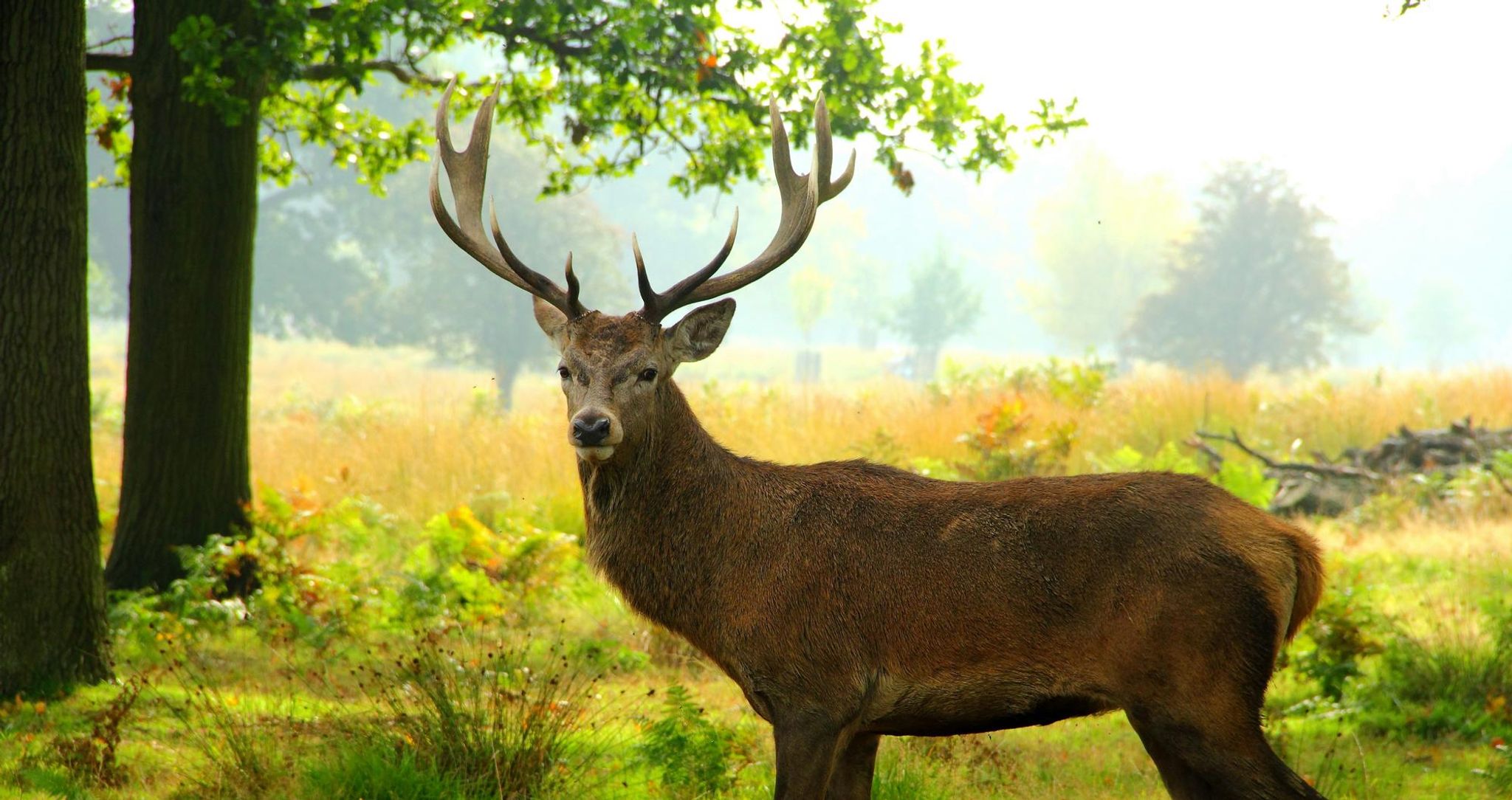 Cover for Edith Jeannette Hawkins's Obituary