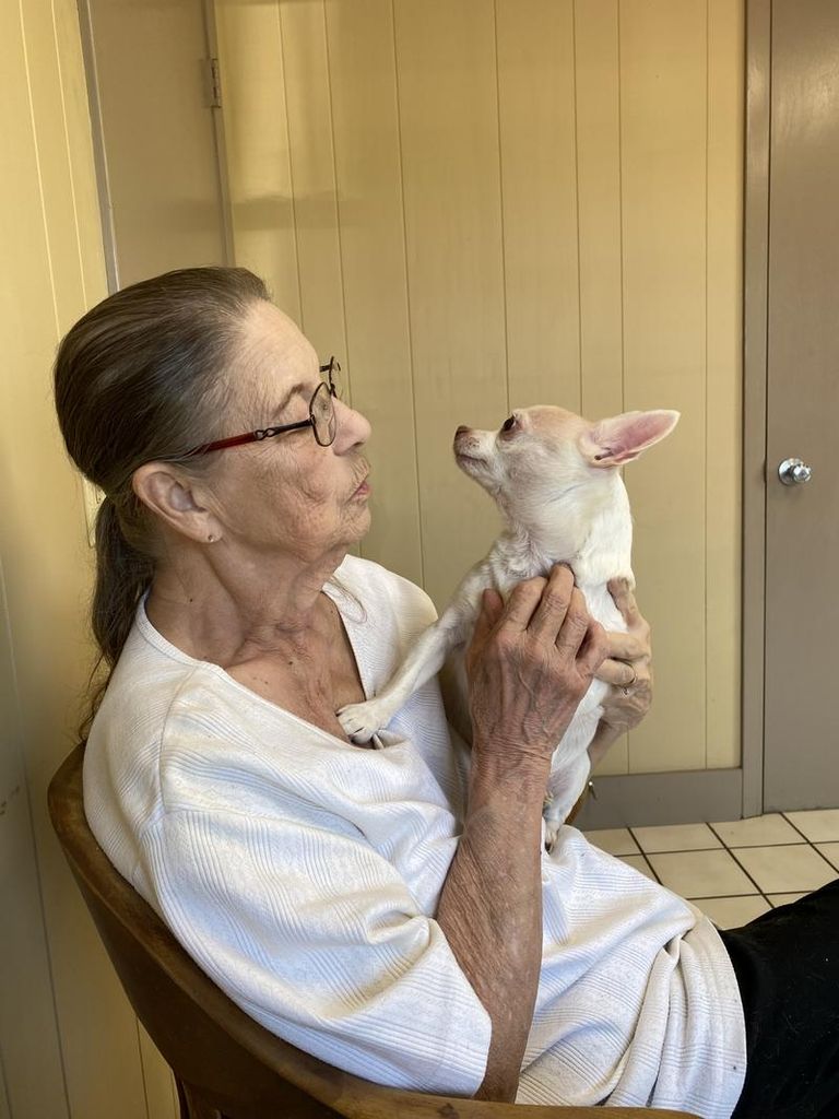 Teresa Ann Robbins Profile Photo