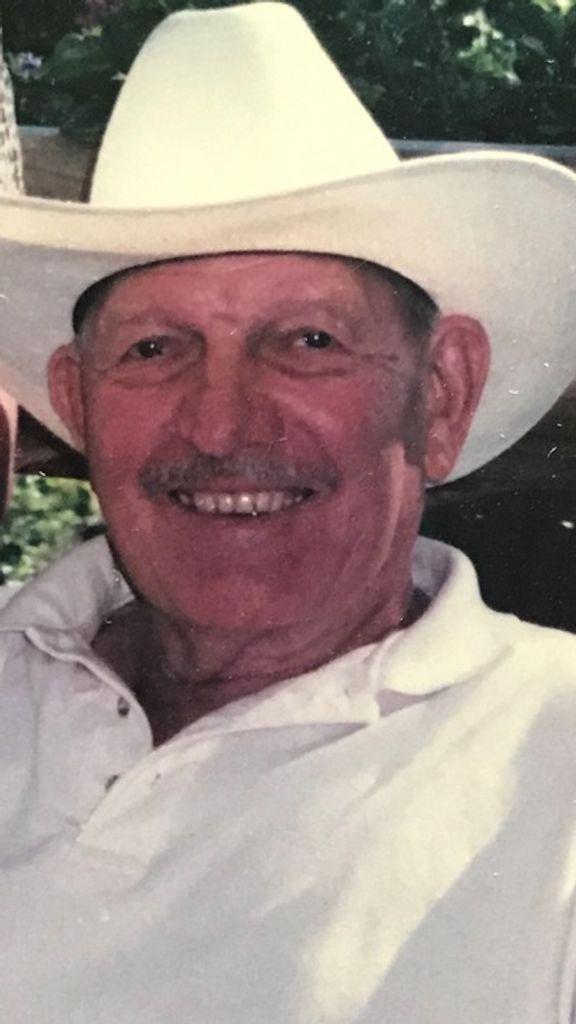 Vernon Joseph Beitz