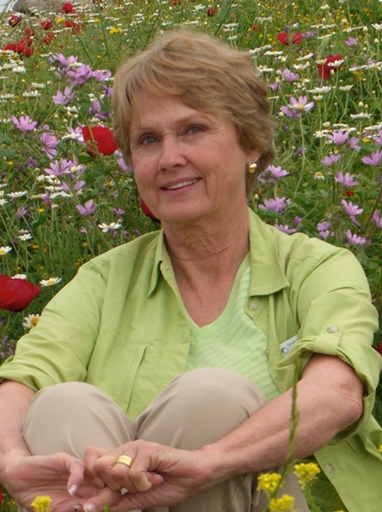 Phyllis Gilbertson