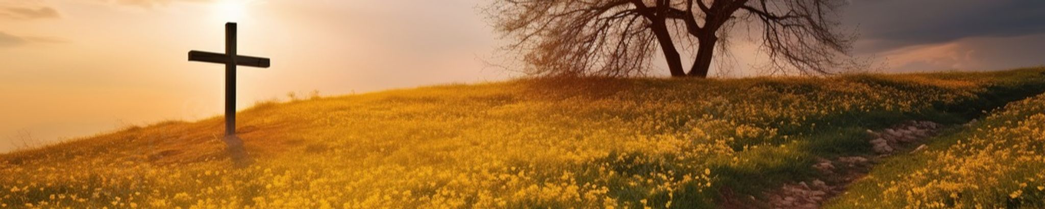 Cover photo for Joe Harold Furr's Obituary