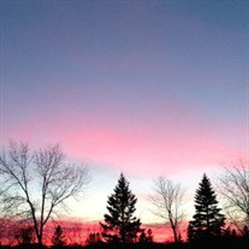 Lillian  Irene Chesley