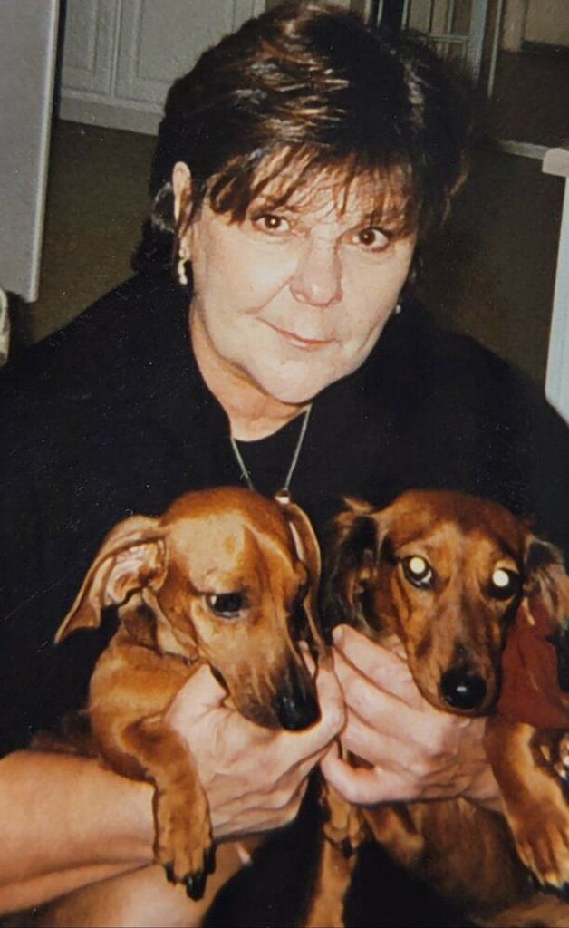 Karen L Meeks Profile Photo