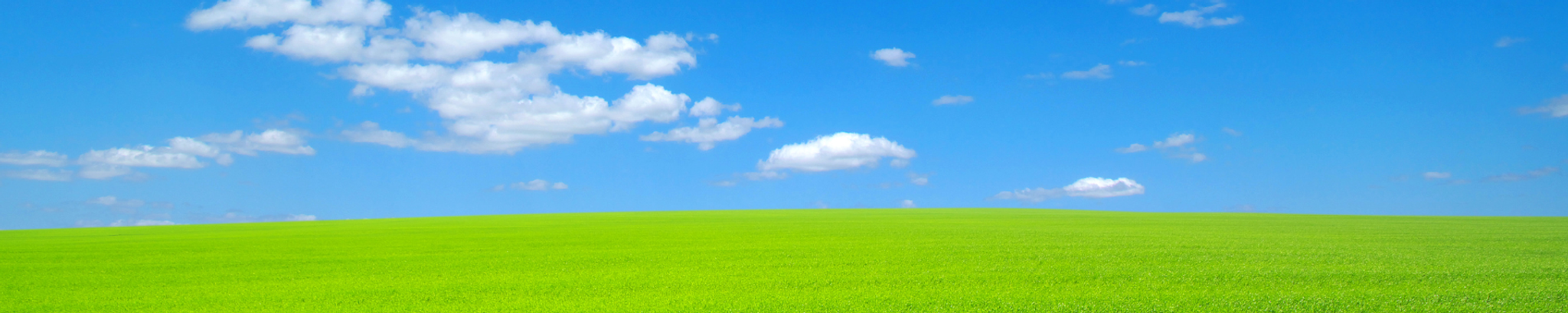 Cover photo for Tiki Hughes's Obituary