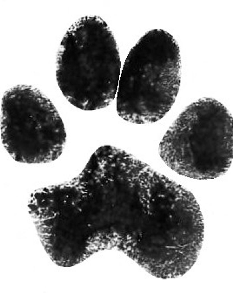 Roscoe Houston Profile Photo