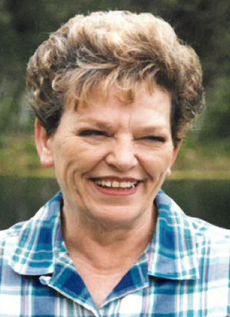 June (Walters)  Shepherd Profile Photo