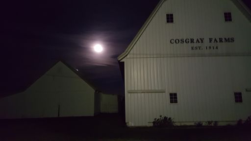 Ruth A. Cosgray photo gallery thumbnail 45 of 93