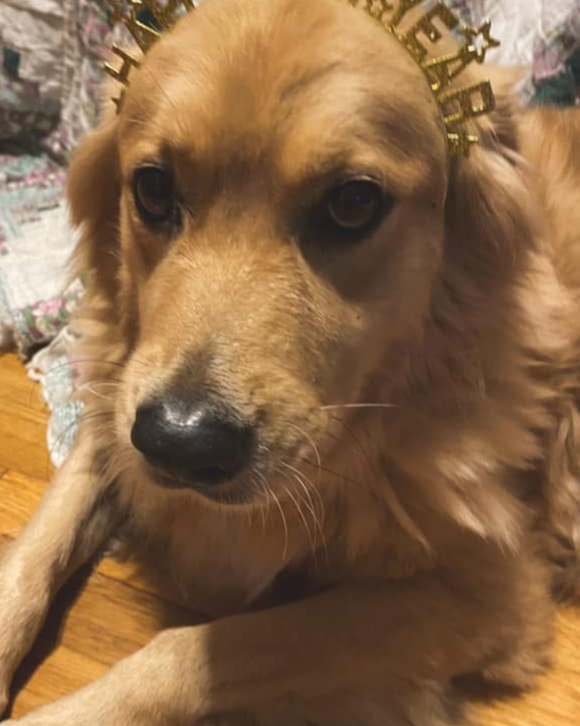 Gypsy Profile Photo