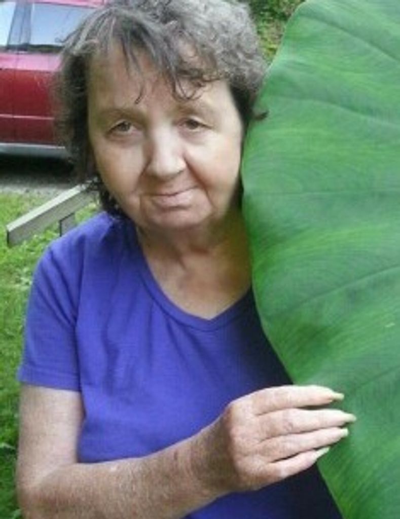 Gladys Ann Cooper Profile Photo