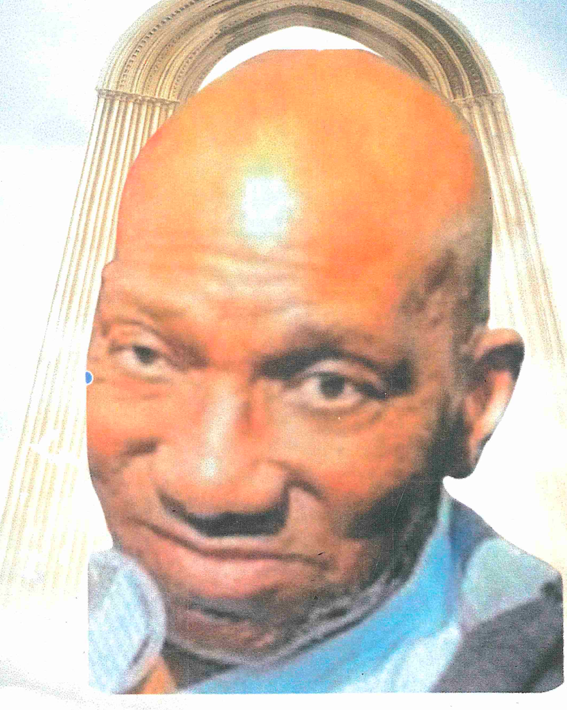 Mr. Donald Richard Green