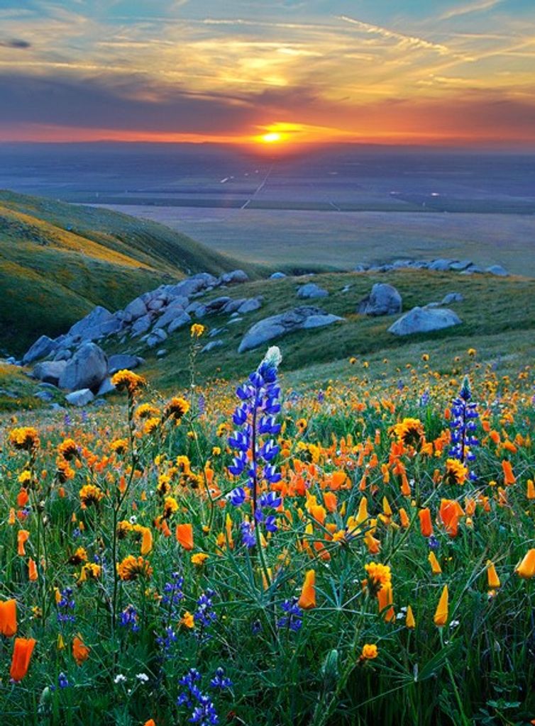 W. Joyce (Pendergrass)  Gary Profile Photo