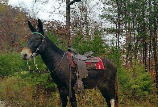 Leroy D. Stephenson photo gallery thumbnail 26 of 114