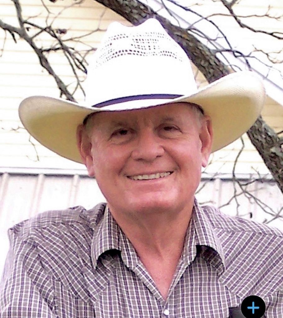 Tom Davison Profile Photo