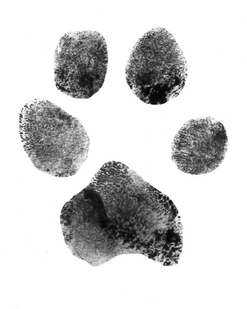 Shelly Eller Profile Photo