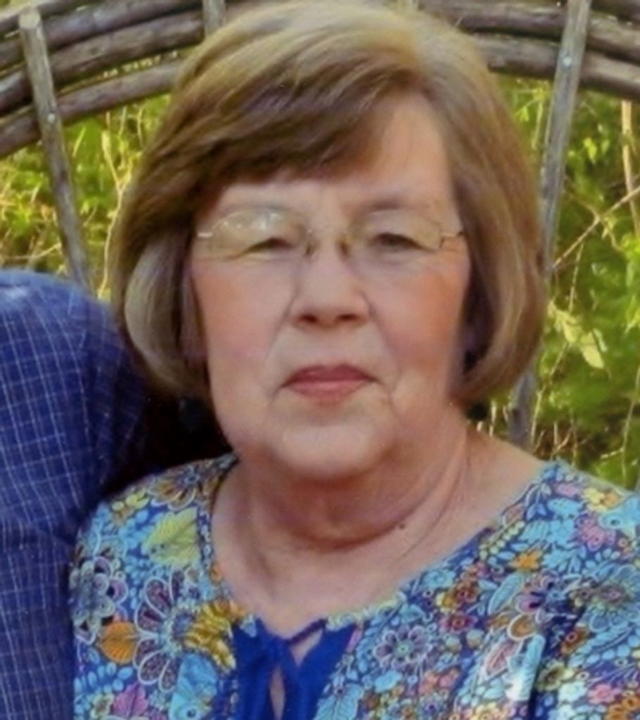 Sue Perryman Davis Profile Photo