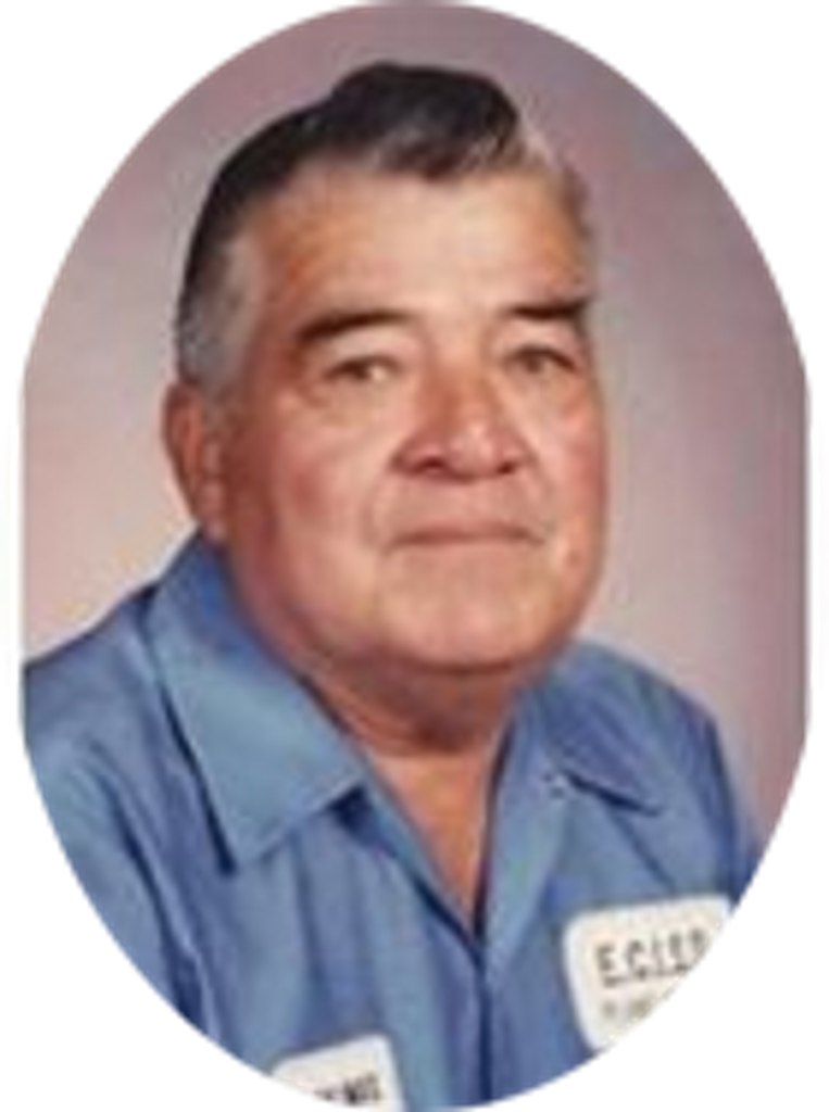 Arnoldo P. Salinas