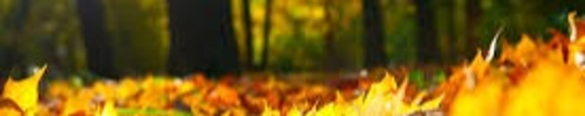 Cover for Janice Crotts's Obituary