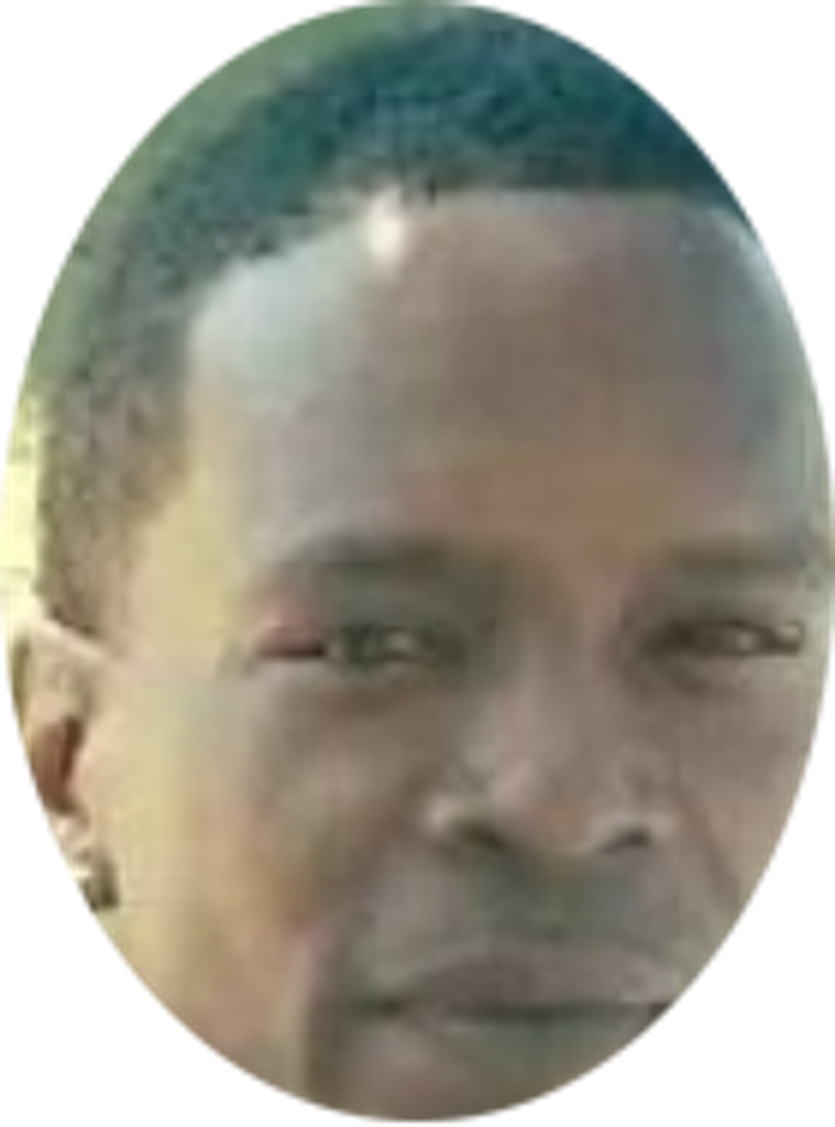 Michael Range