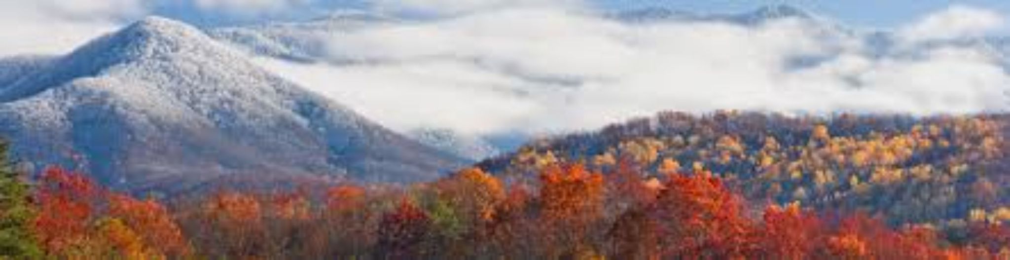 Cover photo for Heather Lorraine Saline's Obituary