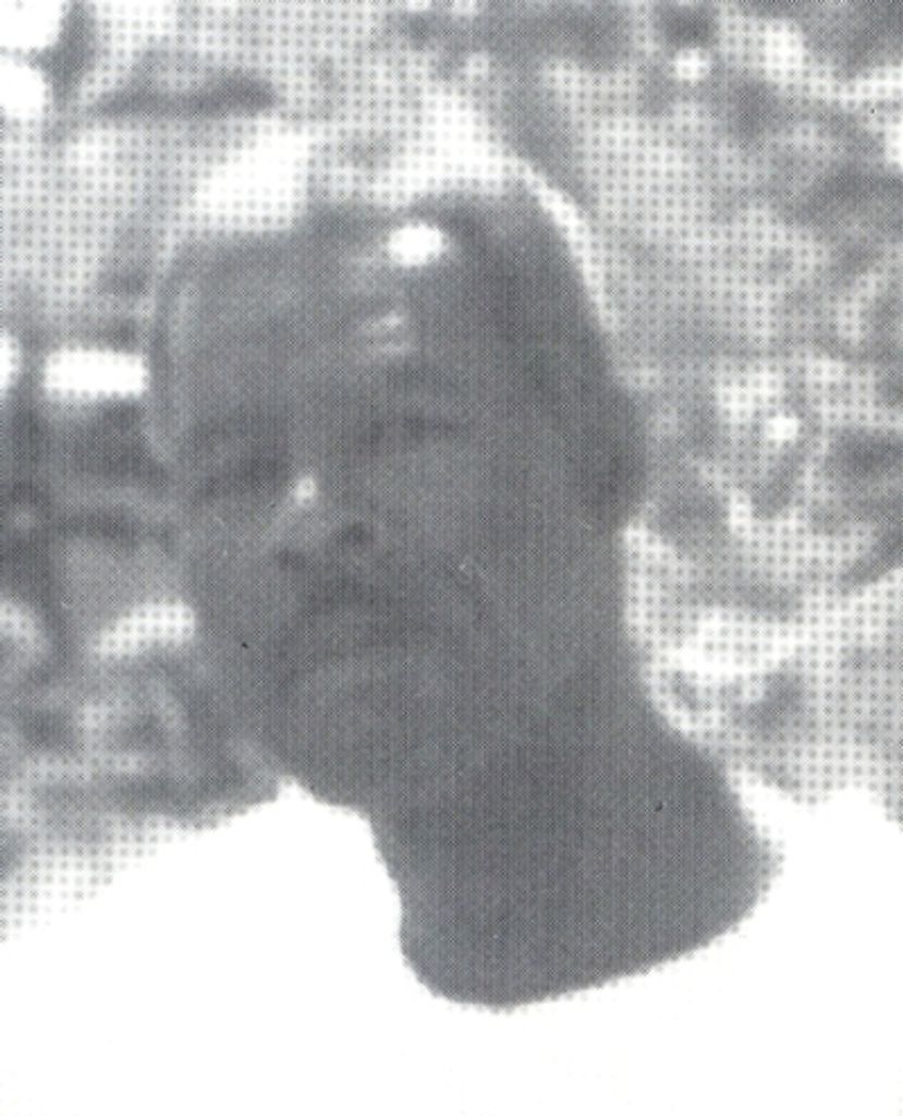 Eddison Willis Williams