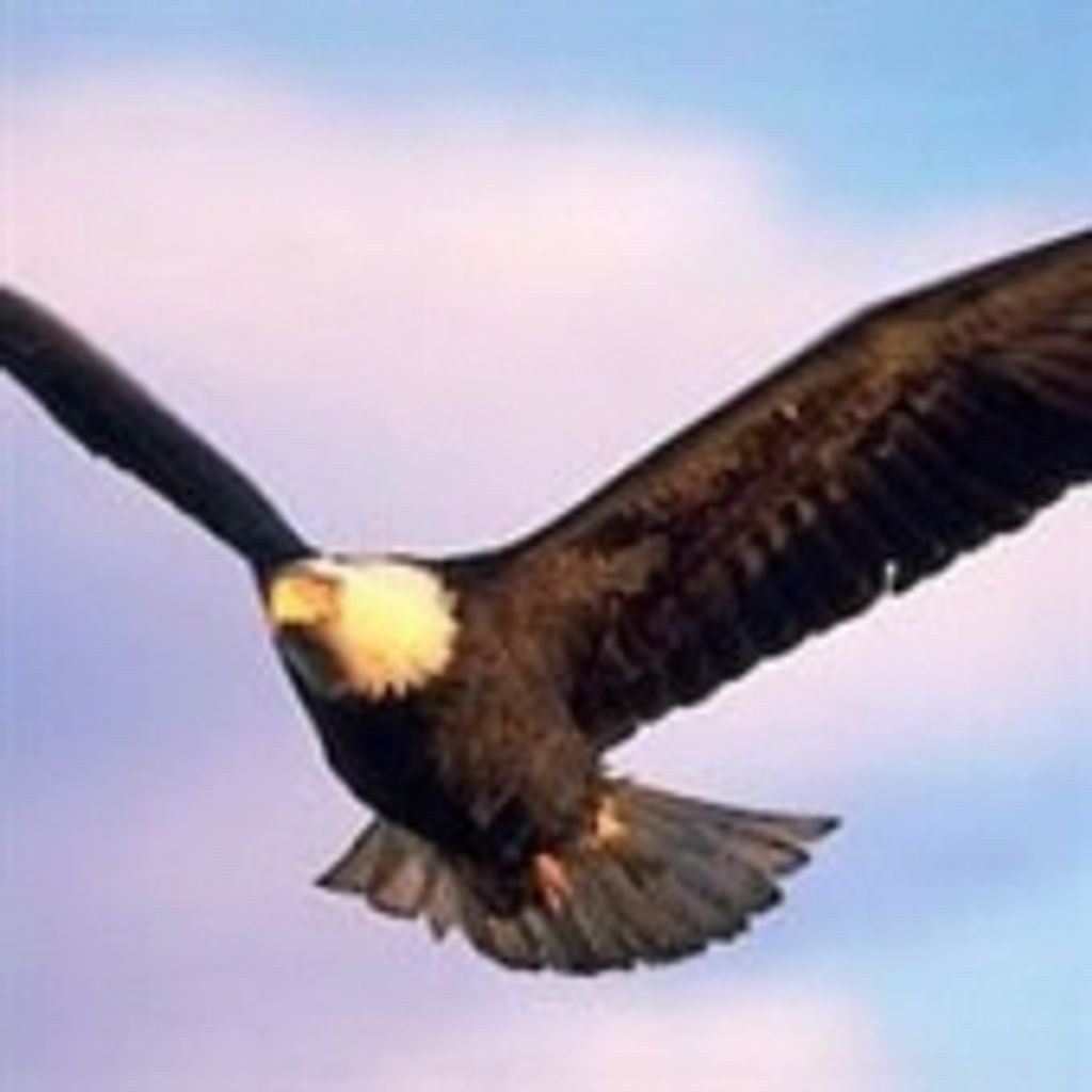 Calvin Herbert Mccurdy