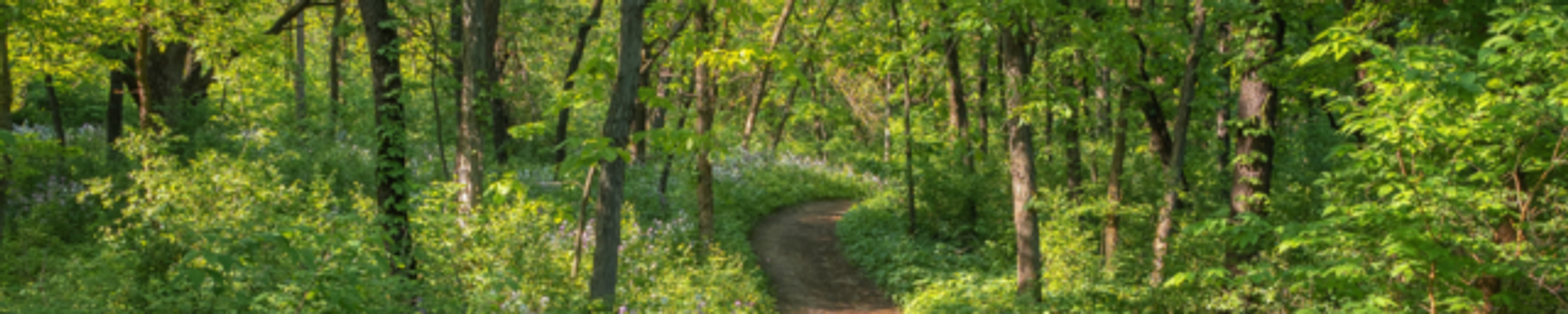 Cover photo for Bradley Alan Spears's Obituary